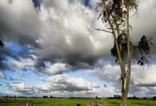 东升国际体育：2025WTT新加坡大满贯：孙颖莎晋级16强新华社.