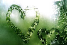 东升国际体育：2-0+2连胜！郑钦文杀入16强提75万奖金 时隔6年.